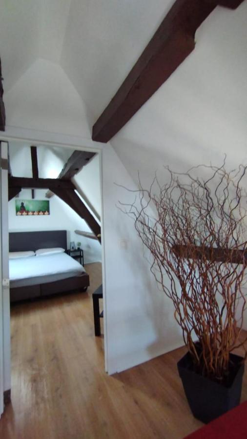 Appartement The 16Th Century Duplex In The City Center à Anvers Extérieur photo
